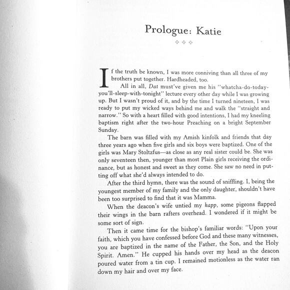 Heritage of Lancaster County by Beverly Lewis (3-in-1 Collection) Amish Fiction - Picture 6 of 8